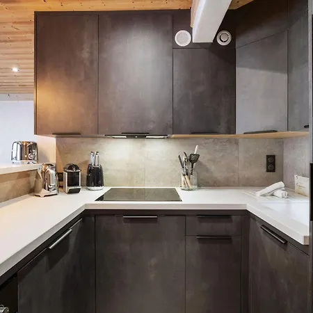Apartment Renove Skis Aux Pieds Pour 7 Personnes - Fr-1-564-166 *